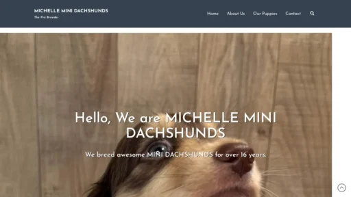 A screenshot of Michelleminidachshunds.online