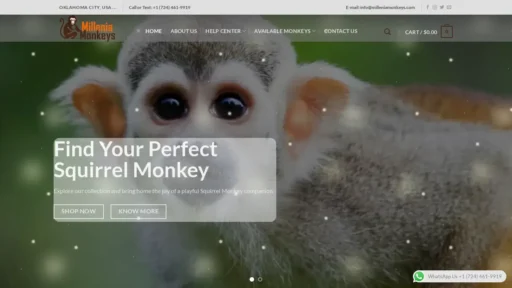 A screenshot of Milleniamonkeys.com