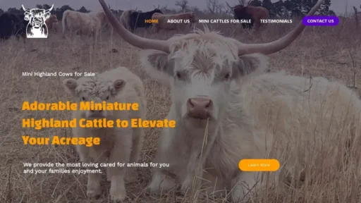 A screenshot of Miniaturecattlefarm.com