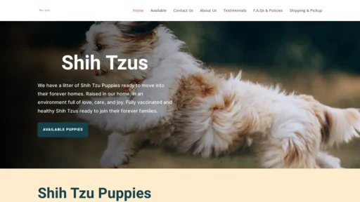 A screenshot of Minijolly.com