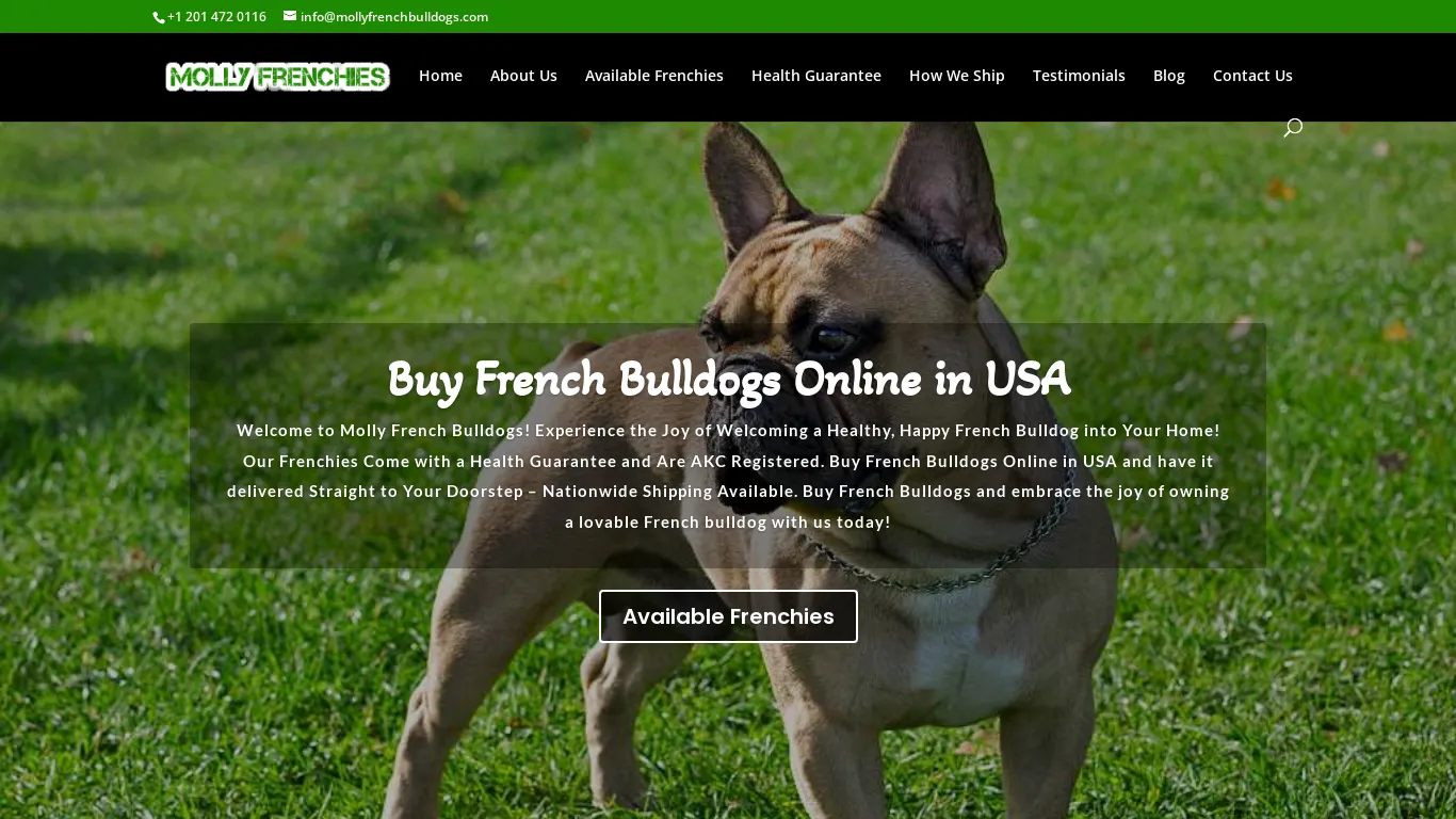 is Buy French Bulldogs Online In USA - Nationwide Shipping legit? screenshot