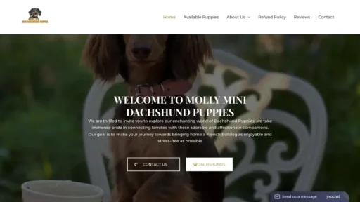A screenshot of Mollyminidachshundpuppies.com