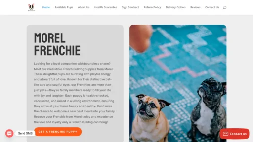 A screenshot of Morelfrenchie.com
