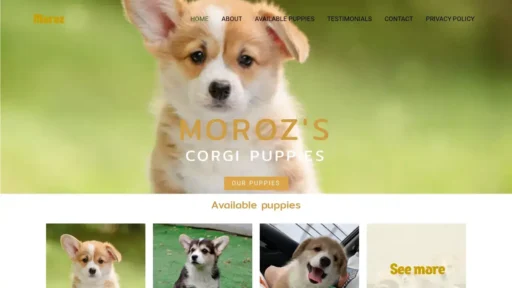 A screenshot of Morozscorgipuppies.shop