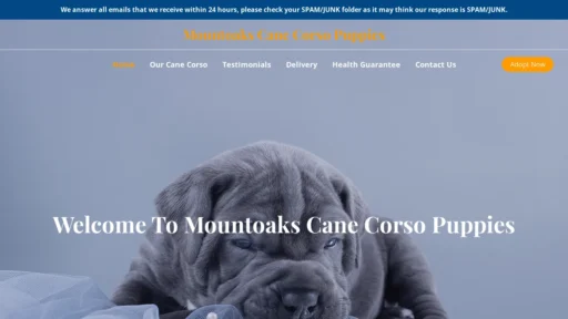 A screenshot of Mountoakscanecorsopuppies.com