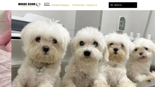 A screenshot of Mulexzone.com