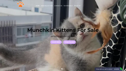 A screenshot of Munchkinkittyshop.org
