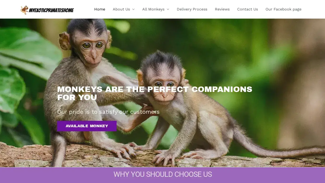 is myexoticprimateshome.com – myexoticprimateshome.com legit? screenshot