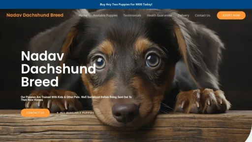 A screenshot of Nadavdachshundbreed.com
