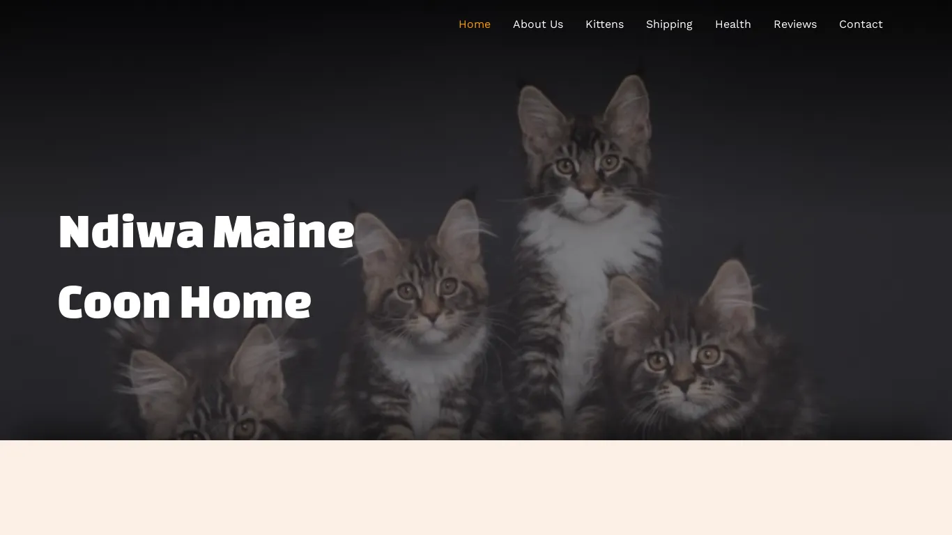 is Ndiwa Maine Coon home – Maine Coon Kittens legit? screenshot