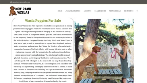 A screenshot of Newdawnvizslas.com