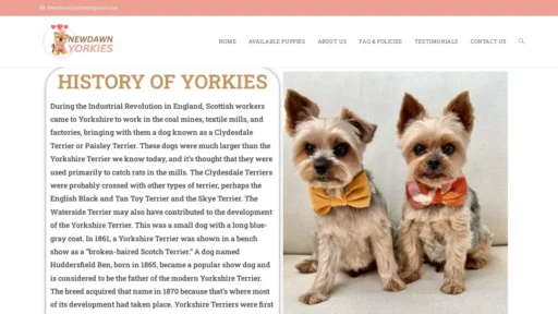 A screenshot of Newdawnyorkies.com