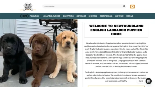 A screenshot of Newfoundlandlabradorpuppies.us