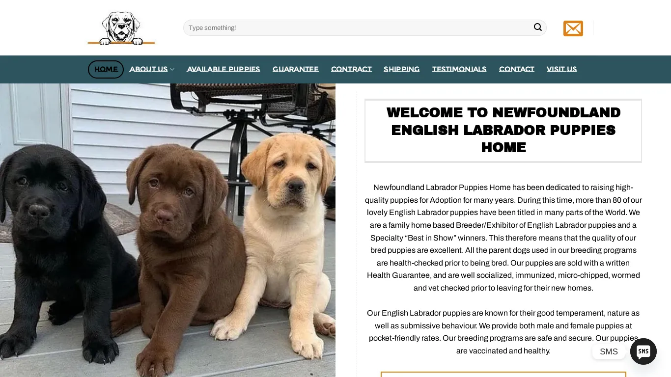 is Newfoundland Labrador Puppies legit? screenshot