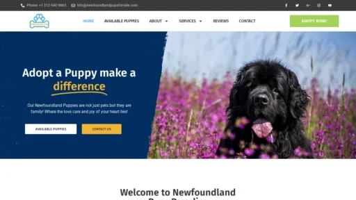 A screenshot of Newfoundlandpupsforsale.com