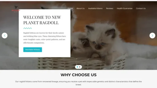 A screenshot of Newplanetragdoll.com