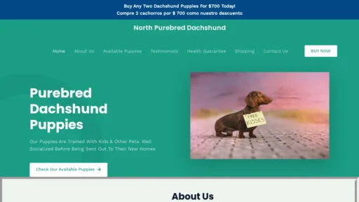 A screenshot of Northpurebreddachshund.com