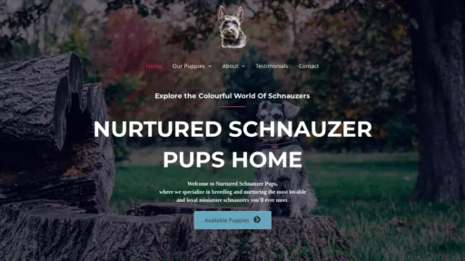 A screenshot of Nurturedschnauzerpups.com