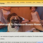 Is Okctasonboxers.com legit?