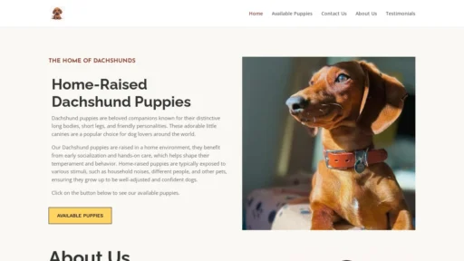 A screenshot of Onetruejewel.com