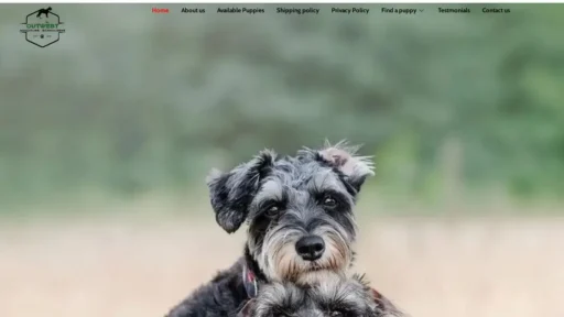 A screenshot of Outwestschnauzers.com