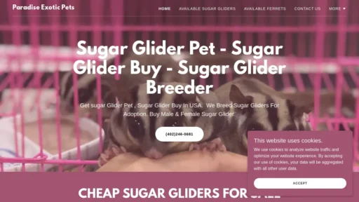 A screenshot of Paradisesugarglider.com