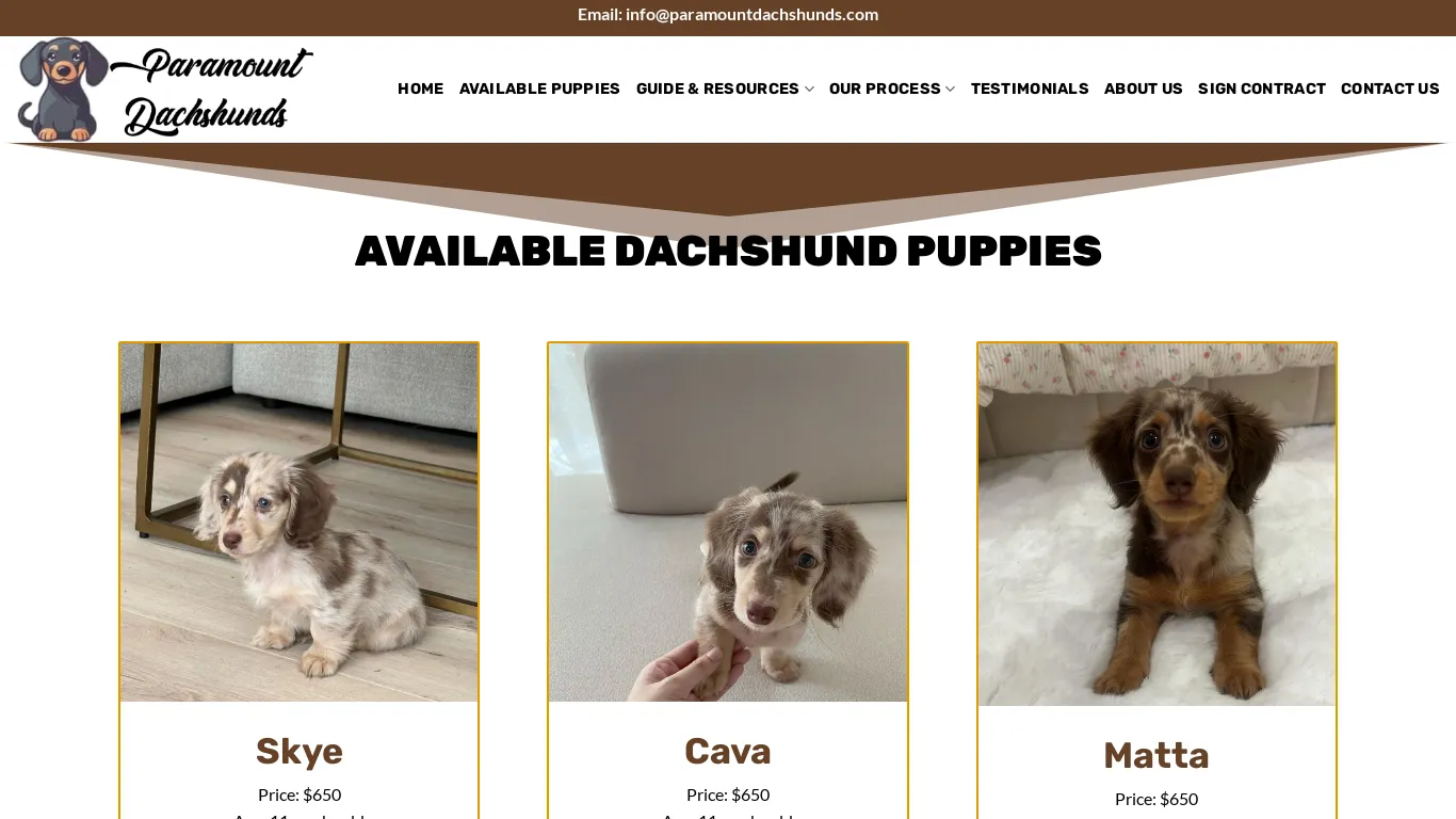 is Paramount Dachshunds – Cute Puppies For Sale legit? screenshot