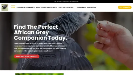 A screenshot of Paramountfeathers.com