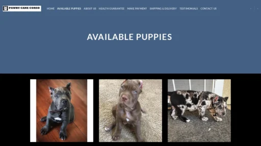 A screenshot of Pawrycanecorso.com