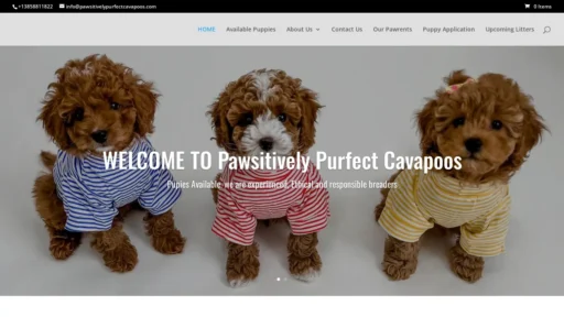 A screenshot of Pawsitivelypurfectcavapoos.com