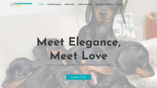 A screenshot of Pawsomedachshundpuppies.com
