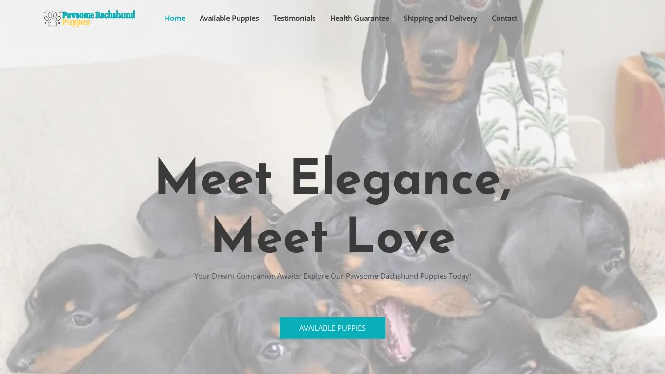 is Home - Pawsome Dachshund Puppies legit? screenshot