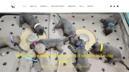 A screenshot of Pawsomedanes.com
