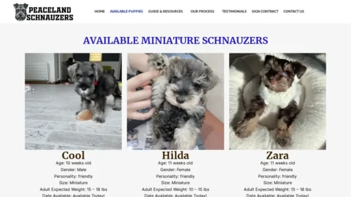 A screenshot of Peacelandschnauzers.com