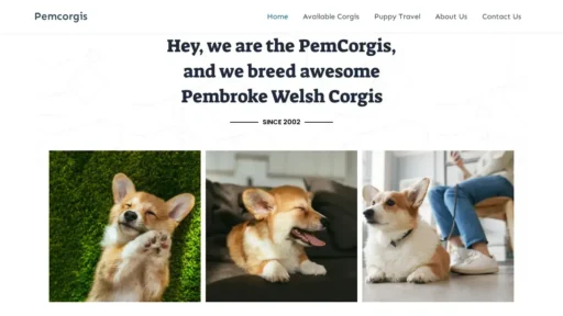 A screenshot of Pemcorgis.com