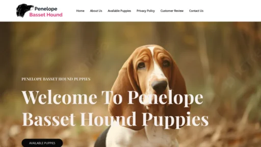A screenshot of Penelopebassethound.com