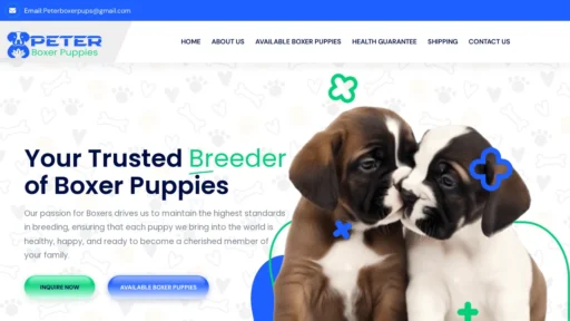 A screenshot of Peterboxerpuppies.com