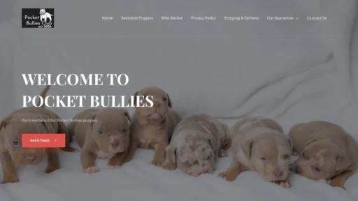 A screenshot of Pocketbullyclub.org