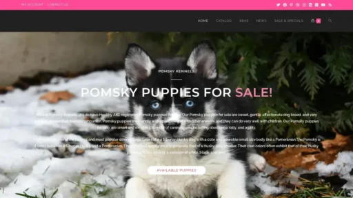 A screenshot of Pomskykennels.com