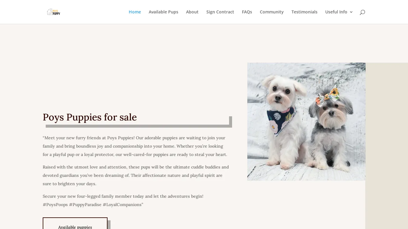 is Poys Puppys | Adopt a Puppy legit? screenshot