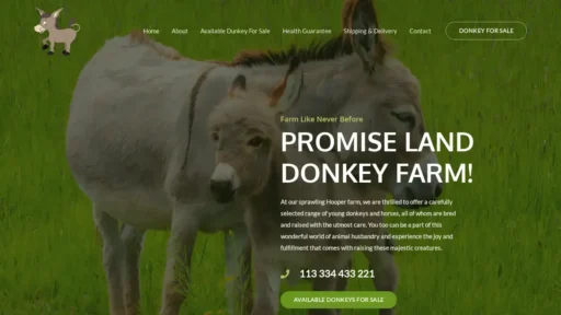 A screenshot of Promisedlanddonkeyfarm.com
