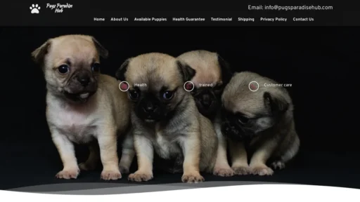 A screenshot of Pugsparadisehub.com
