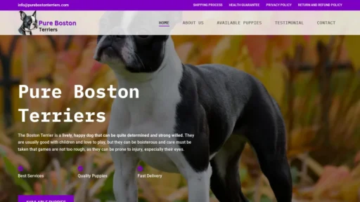 A screenshot of Purebostonterriers.com