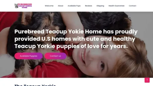 A screenshot of Purebreedteacupyokiehome.com