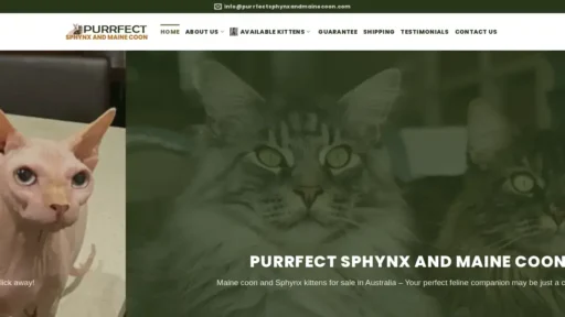 A screenshot of Purrfectsphynxandmainecoon.com