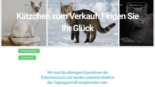A screenshot of Qualitatskatzenzuchter.online