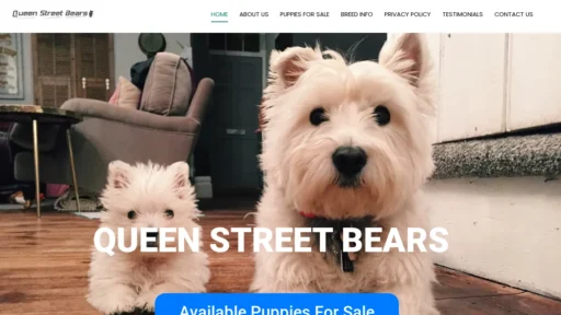 A screenshot of Queenstreetbears.com