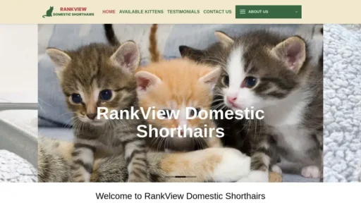 A screenshot of Rankviewdomesticshorthairs.com