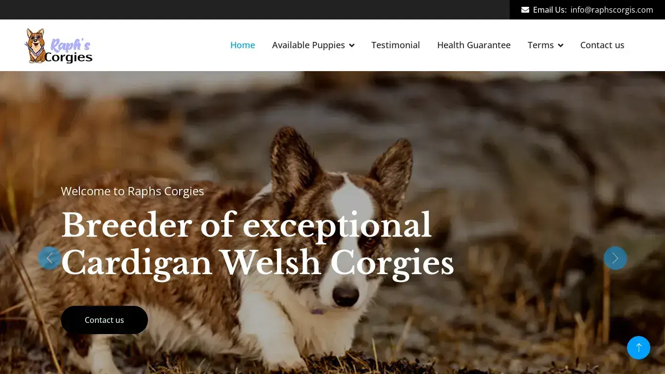 A screenshot of Raphscorgis.com
