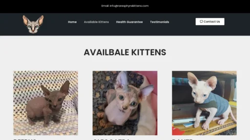 A screenshot of Raresphynxkittens.com